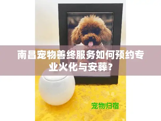 南昌宠物善终服务如何预约专业火化与安葬？
