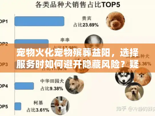 宠物火化宠物殡葬益阳，选择服务时如何避开隐藏风险？疑问+痛点/解决方案）