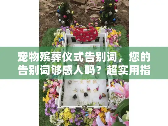 宠物殡葬仪式告别词，您的告别词够感人吗？超实用指南助力情感宣泄