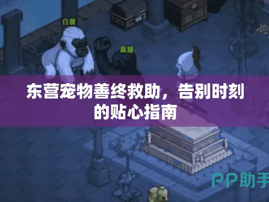 东营宠物善终救助，告别时刻的贴心指南