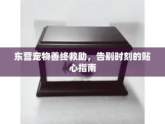 东营宠物善终救助，告别时刻的贴心指南