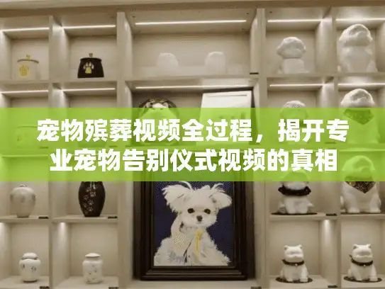 宠物殡葬视频全过程，揭开专业宠物告别仪式视频的真相
