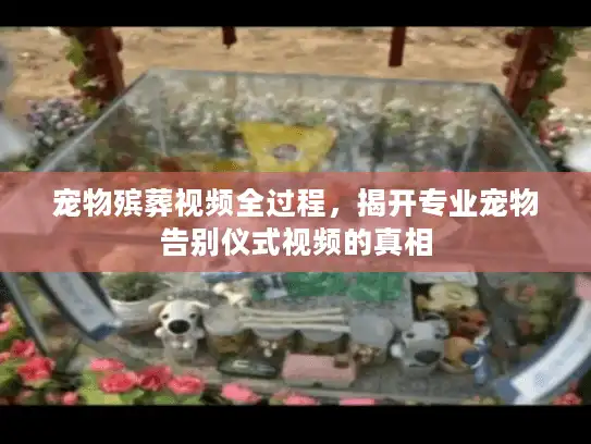 宠物殡葬视频全过程，揭开专业宠物告别仪式视频的真相