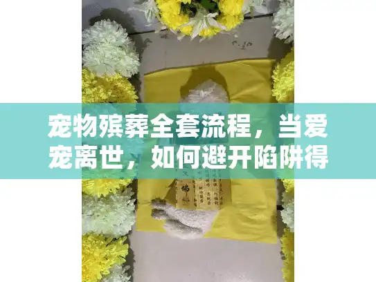 宠物殡葬全套流程，当爱宠离世，如何避开陷阱得体告别？