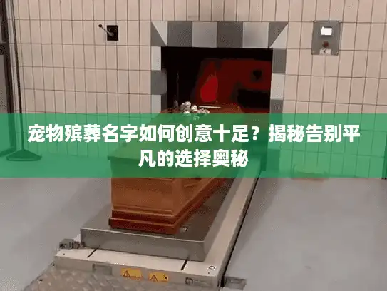 宠物殡葬名字如何创意十足？揭秘告别平凡的选择奥秘