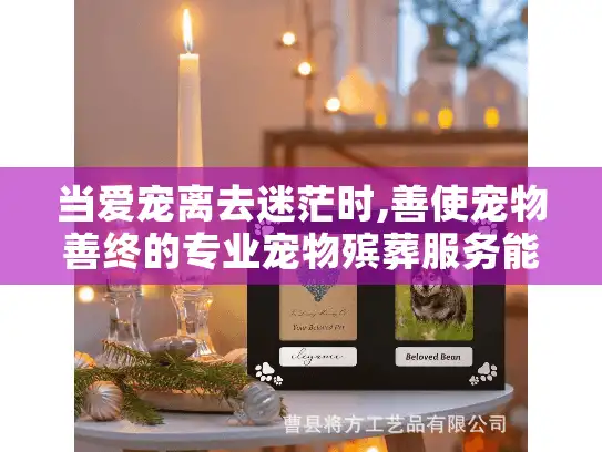 当爱宠离去迷茫时,善使宠物善终的专业宠物殡葬服务能帮您吗?