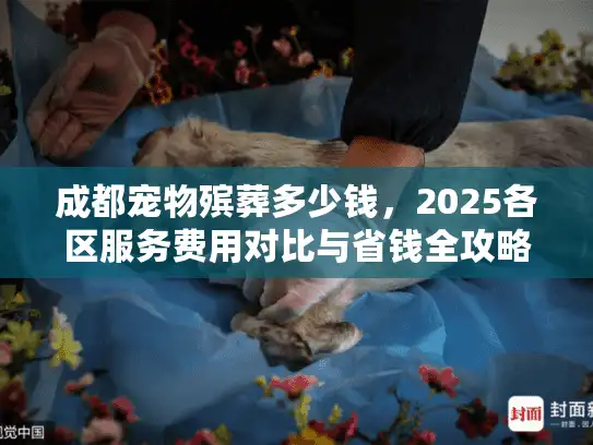 成都宠物殡葬多少钱，2025各区服务费用对比与省钱全攻略