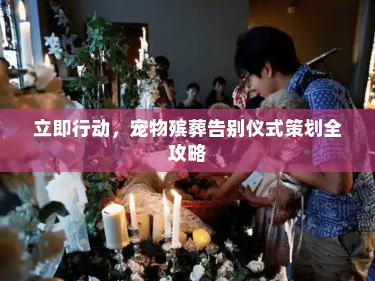 立即行动，宠物殡葬告别仪式策划全攻略