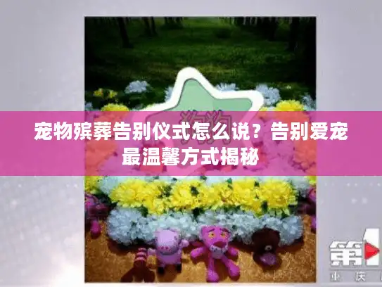 宠物殡葬告别仪式怎么说？告别爱宠最温馨方式揭秘