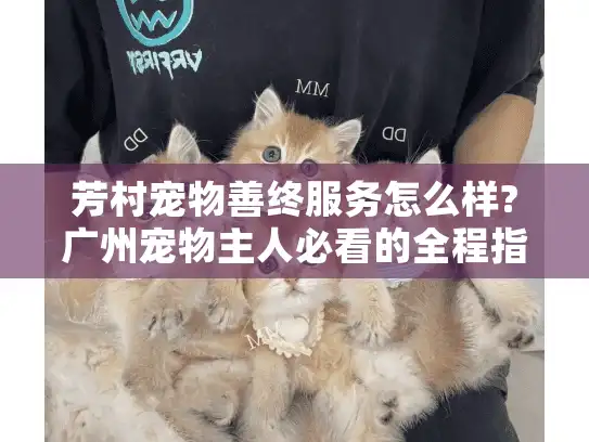 芳村宠物善终服务怎么样?广州宠物主人必看的全程指南