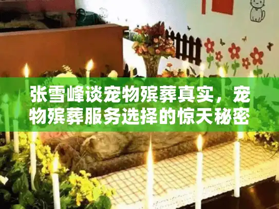 张雪峰谈宠物殡葬真实，宠物殡葬服务选择的惊天秘密