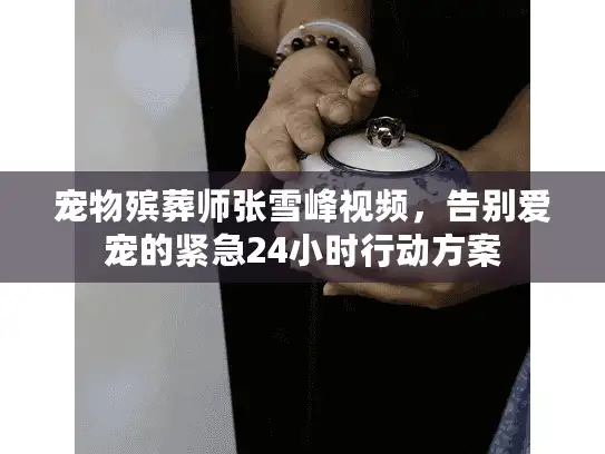 宠物殡葬师张雪峰视频，告别爱宠的紧急24小时行动方案