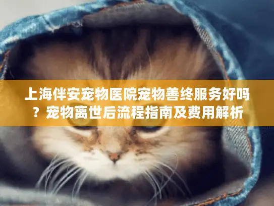 上海伴安宠物医院宠物善终服务好吗？宠物离世后流程指南及费用解析