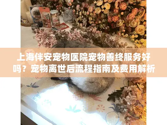 上海伴安宠物医院宠物善终服务好吗？宠物离世后流程指南及费用解析