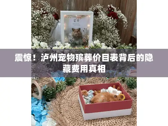 震惊！泸州宠物殡葬价目表背后的隐藏费用真相