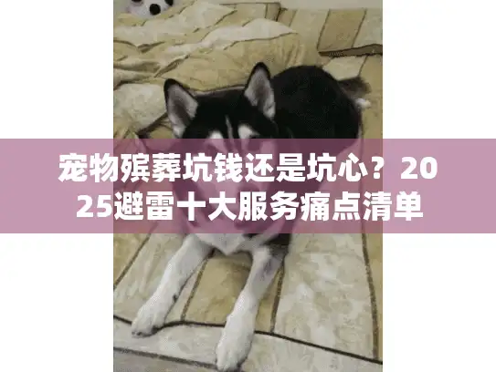 宠物殡葬坑钱还是坑心？2025避雷十大服务痛点清单