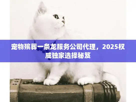 宠物殡葬一条龙服务公司代理，2025权威独家选择秘笈