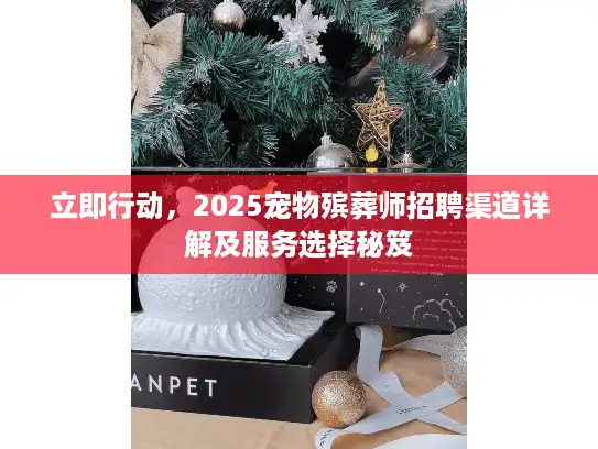 立即行动，2025宠物殡葬师招聘渠道详解及服务选择秘笈