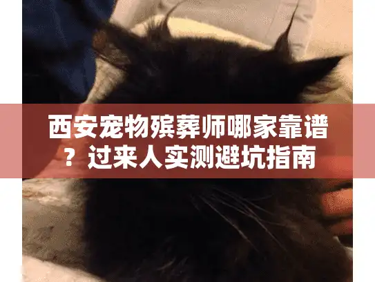 西安宠物殡葬师哪家靠谱？过来人实测避坑指南