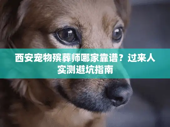 西安宠物殡葬师哪家靠谱？过来人实测避坑指南