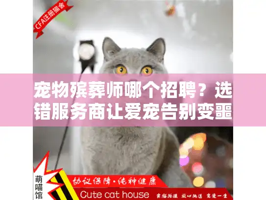 宠物殡葬师哪个招聘？选错服务商让爱宠告别变噩梦！