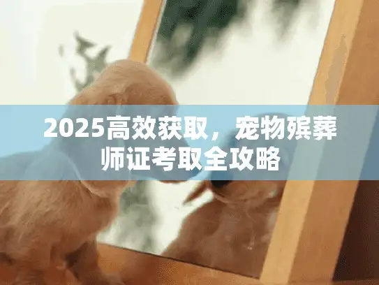 2025高效获取，宠物殡葬师证考取全攻略