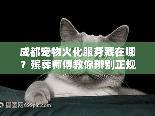 成都宠物火化服务藏在哪？殡葬师傅教你辨别正规机构