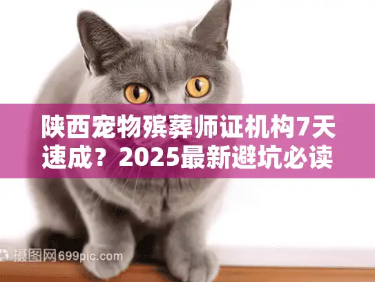 陕西宠物殡葬师证机构7天速成？2025最新避坑必读手册