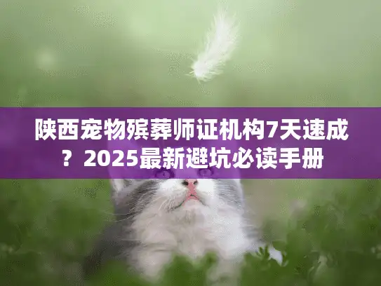 陕西宠物殡葬师证机构7天速成？2025最新避坑必读手册