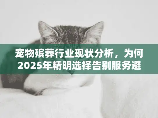 宠物殡葬行业现状分析，为何2025年精明选择告别服务避免后悔？