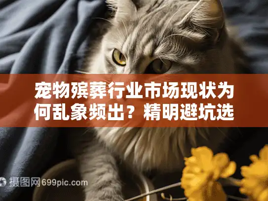 宠物殡葬行业市场现状为何乱象频出？精明避坑选对服务全攻略