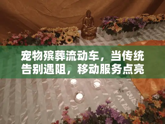 宠物殡葬流动车，当传统告别遇阻，移动服务点亮温情时刻