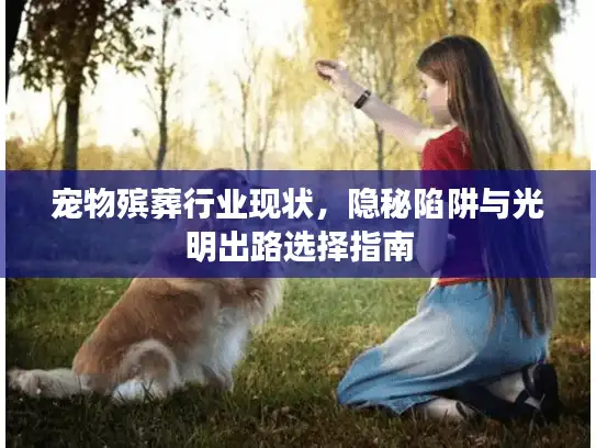 宠物殡葬行业现状，隐秘陷阱与光明出路选择指南
