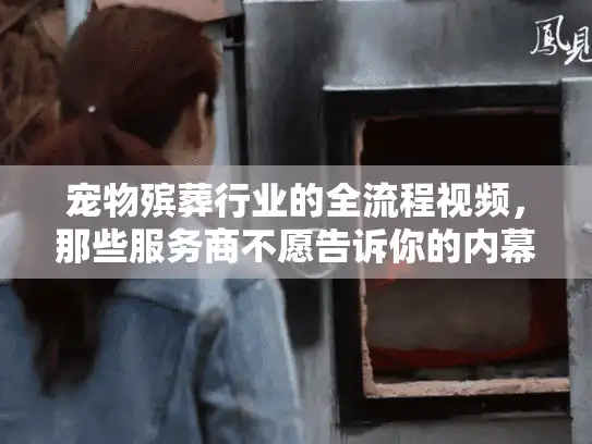 宠物殡葬行业的全流程视频，那些服务商不愿告诉你的内幕