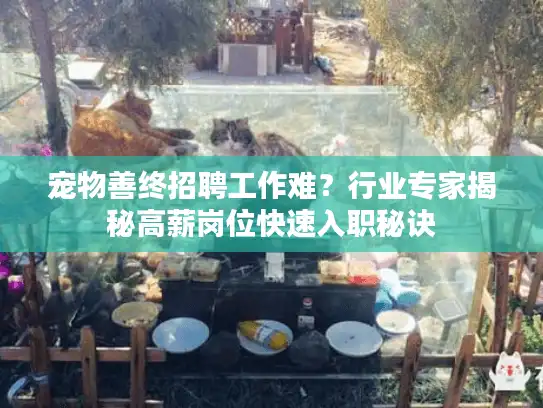 宠物善终招聘工作难？行业专家揭秘高薪岗位快速入职秘诀