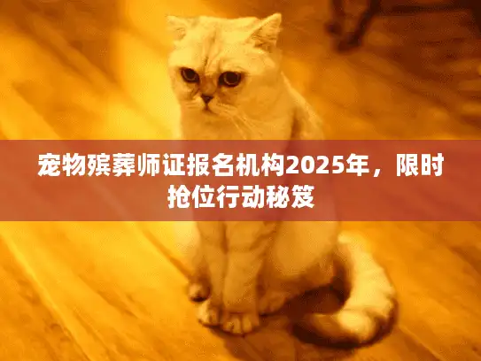宠物殡葬师证报名机构2025年，限时抢位行动秘笈