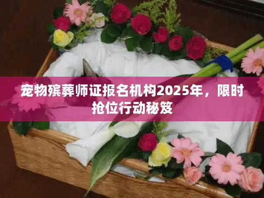 宠物殡葬师证报名机构2025年，限时抢位行动秘笈