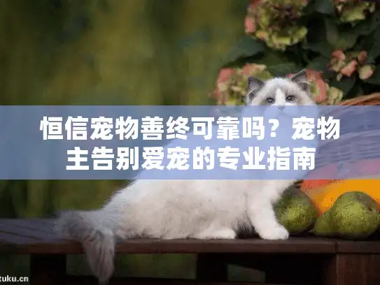 恒信宠物善终可靠吗？宠物主告别爱宠的专业指南