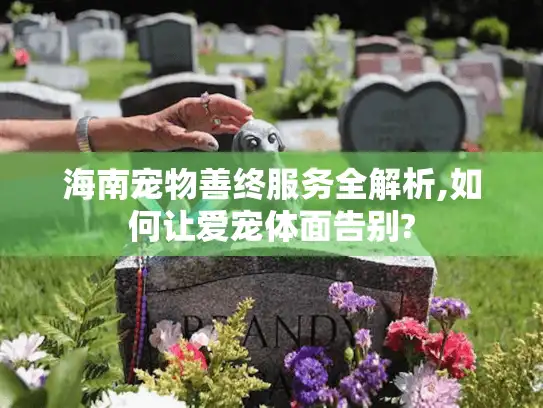 海南宠物善终服务全解析,如何让爱宠体面告别?