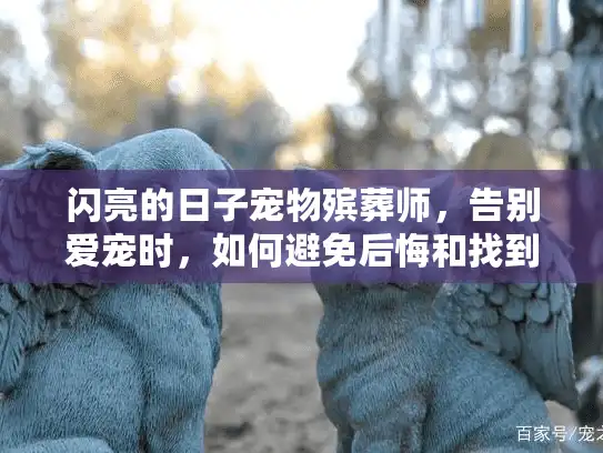 闪亮的日子宠物殡葬师，告别爱宠时，如何避免后悔和找到专属纪念？