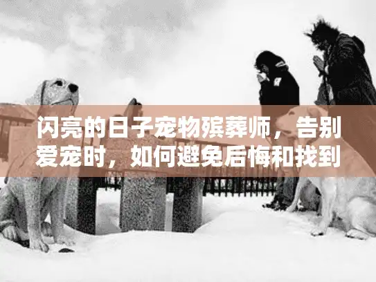 闪亮的日子宠物殡葬师，告别爱宠时，如何避免后悔和找到专属纪念？
