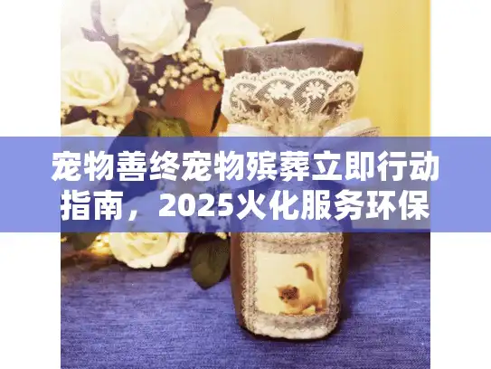 宠物善终宠物殡葬立即行动指南，2025火化服务环保比较