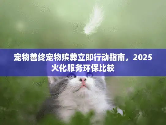 宠物善终宠物殡葬立即行动指南，2025火化服务环保比较