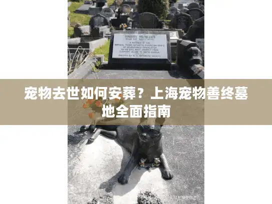 宠物去世如何安葬？上海宠物善终墓地全面指南