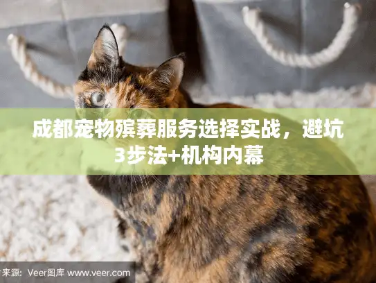 成都宠物殡葬服务选择实战，避坑3步法+机构内幕