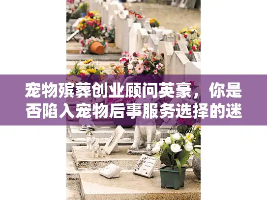 宠物殡葬创业顾问英豪，你是否陷入宠物后事服务选择的迷茫深渊？
