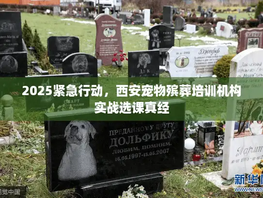 2025紧急行动，西安宠物殡葬培训机构实战选课真经
