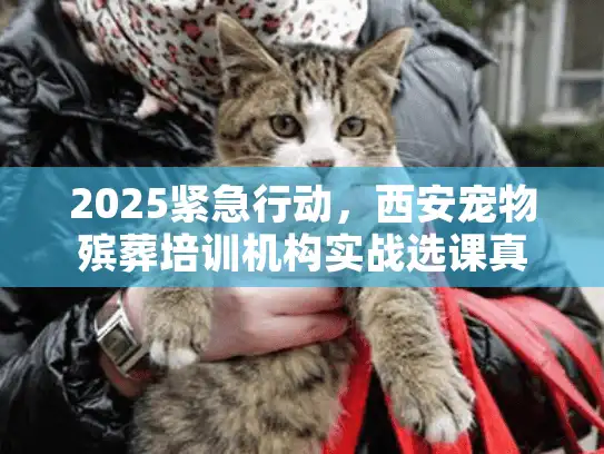 2025紧急行动，西安宠物殡葬培训机构实战选课真经