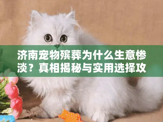 济南宠物殡葬为什么生意惨淡？真相揭秘与实用选择攻略