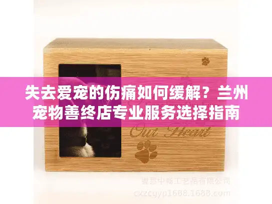 失去爱宠的伤痛如何缓解？兰州宠物善终店专业服务选择指南